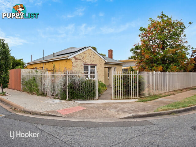 1 Golding Street BEVERLEY SA 5009