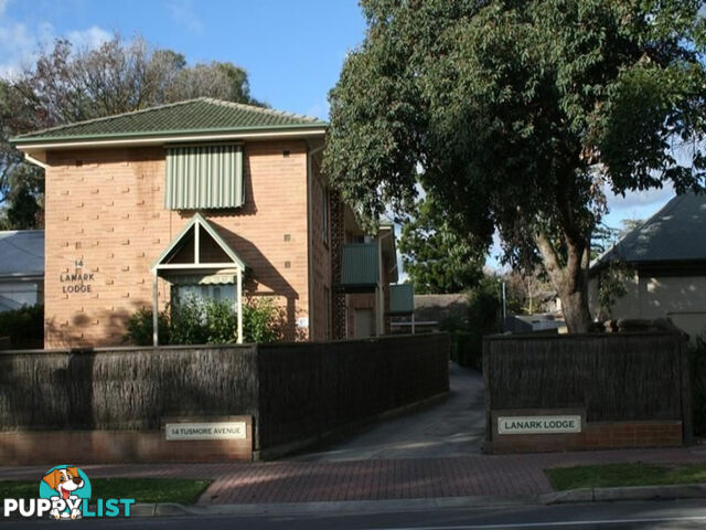 9/14 Tusmore Avenue LEABROOK SA 5068