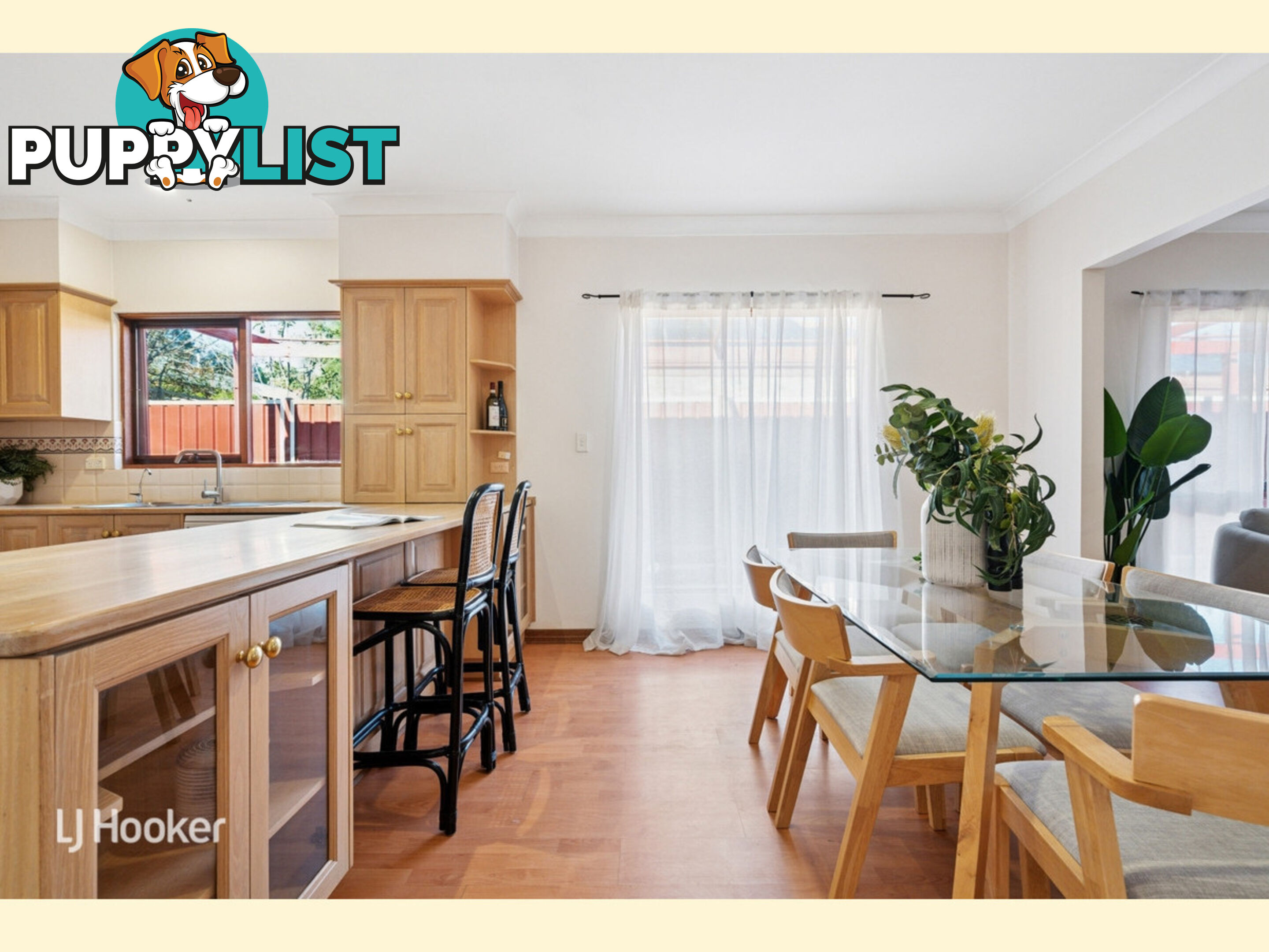 10 Salter Street KENSINGTON SA 5068