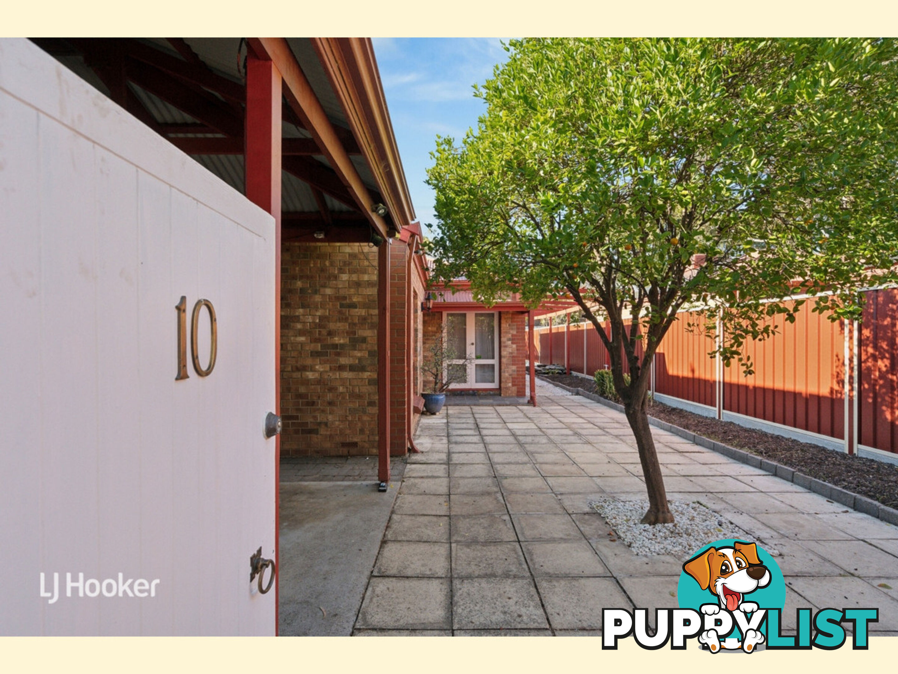10 Salter Street KENSINGTON SA 5068
