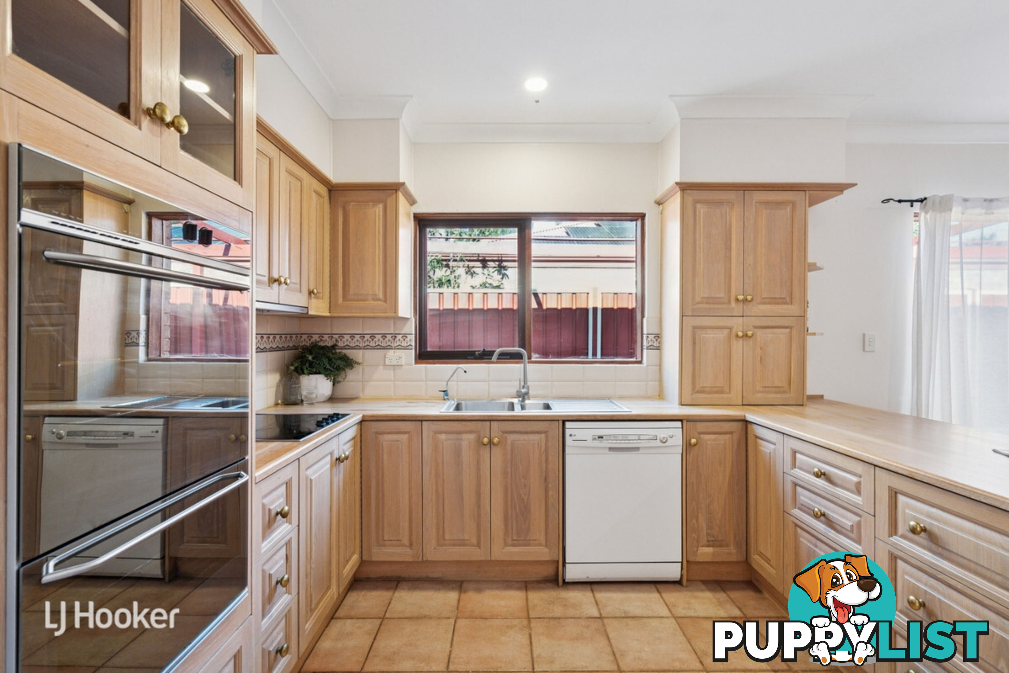 10 Salter Street KENSINGTON SA 5068