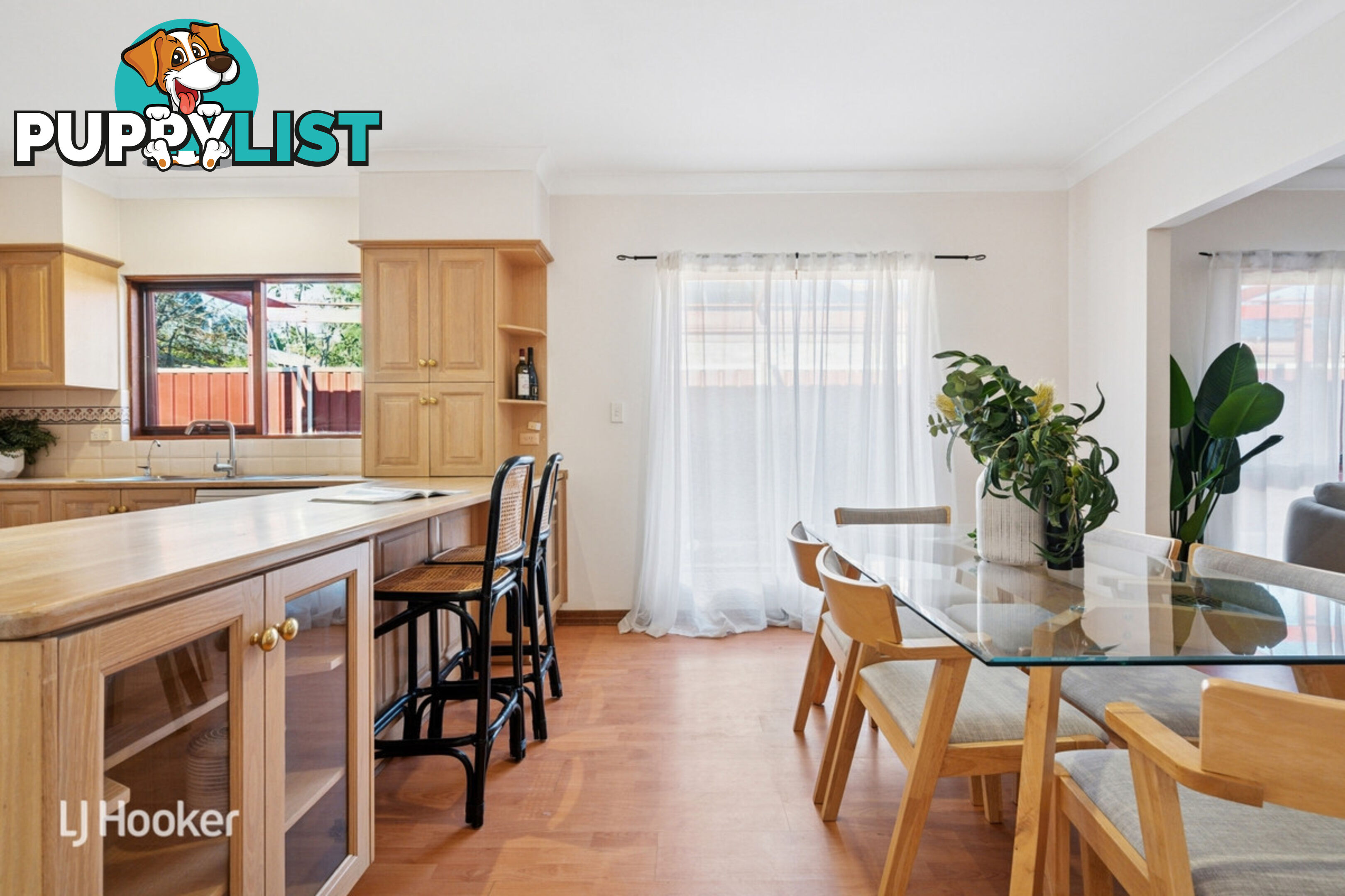 10 Salter Street KENSINGTON SA 5068