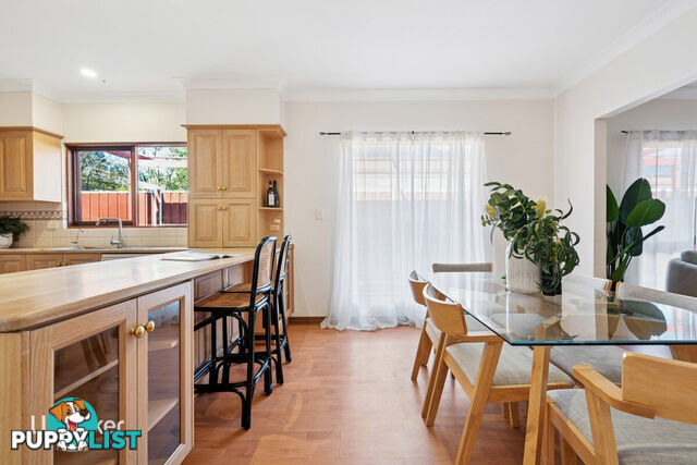 10 Salter Street KENSINGTON SA 5068
