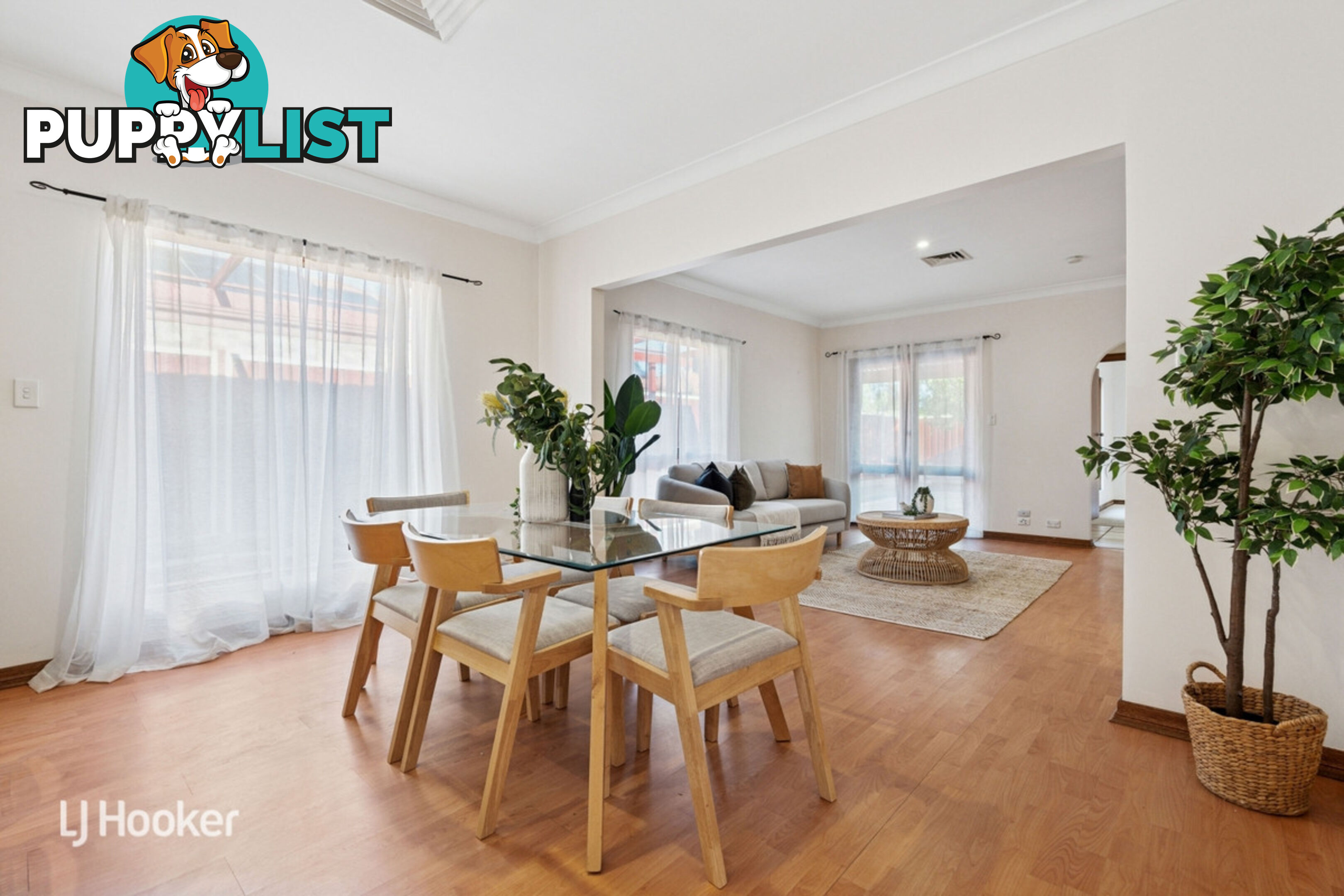 10 Salter Street KENSINGTON SA 5068
