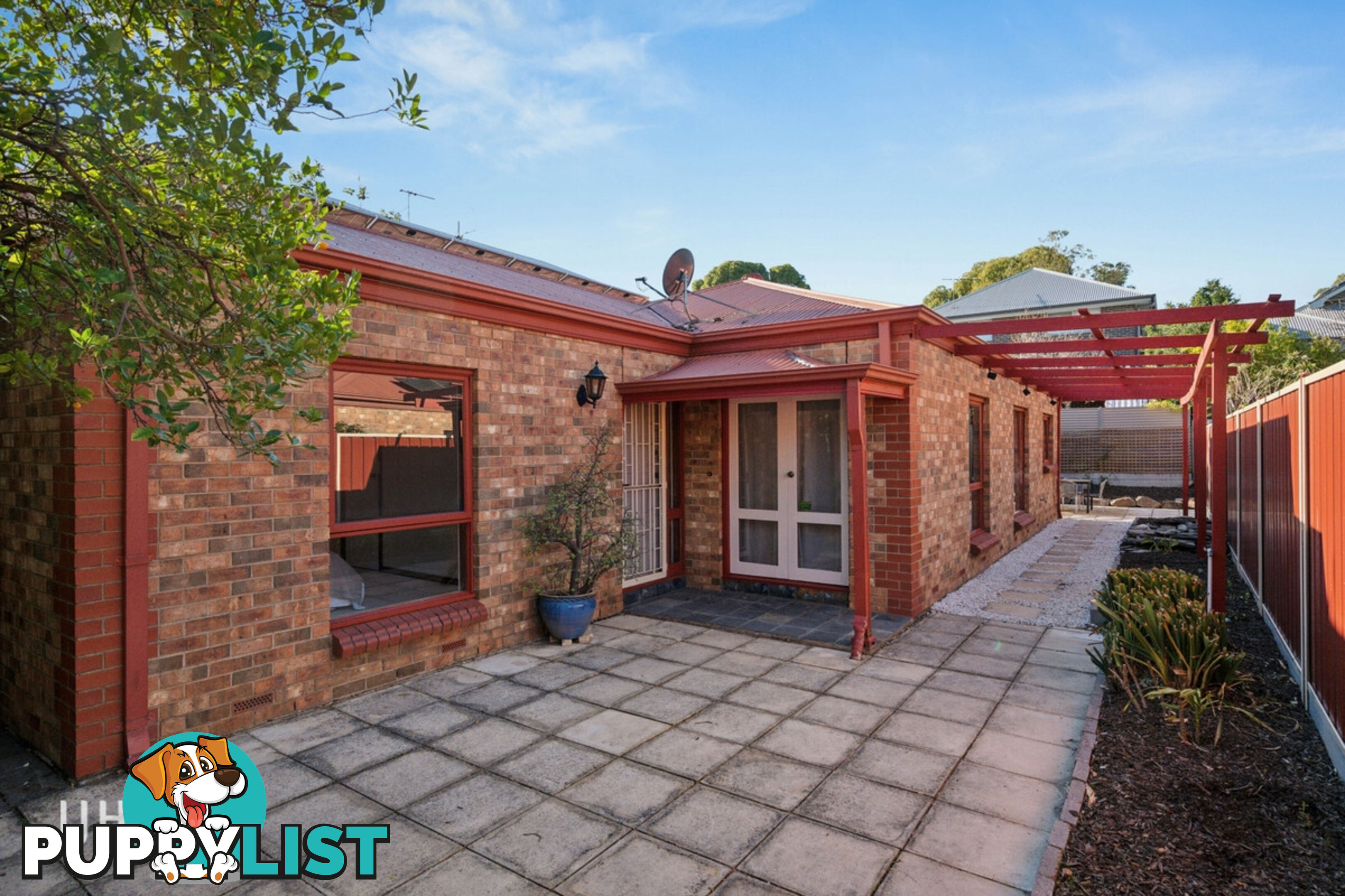 10 Salter Street KENSINGTON SA 5068