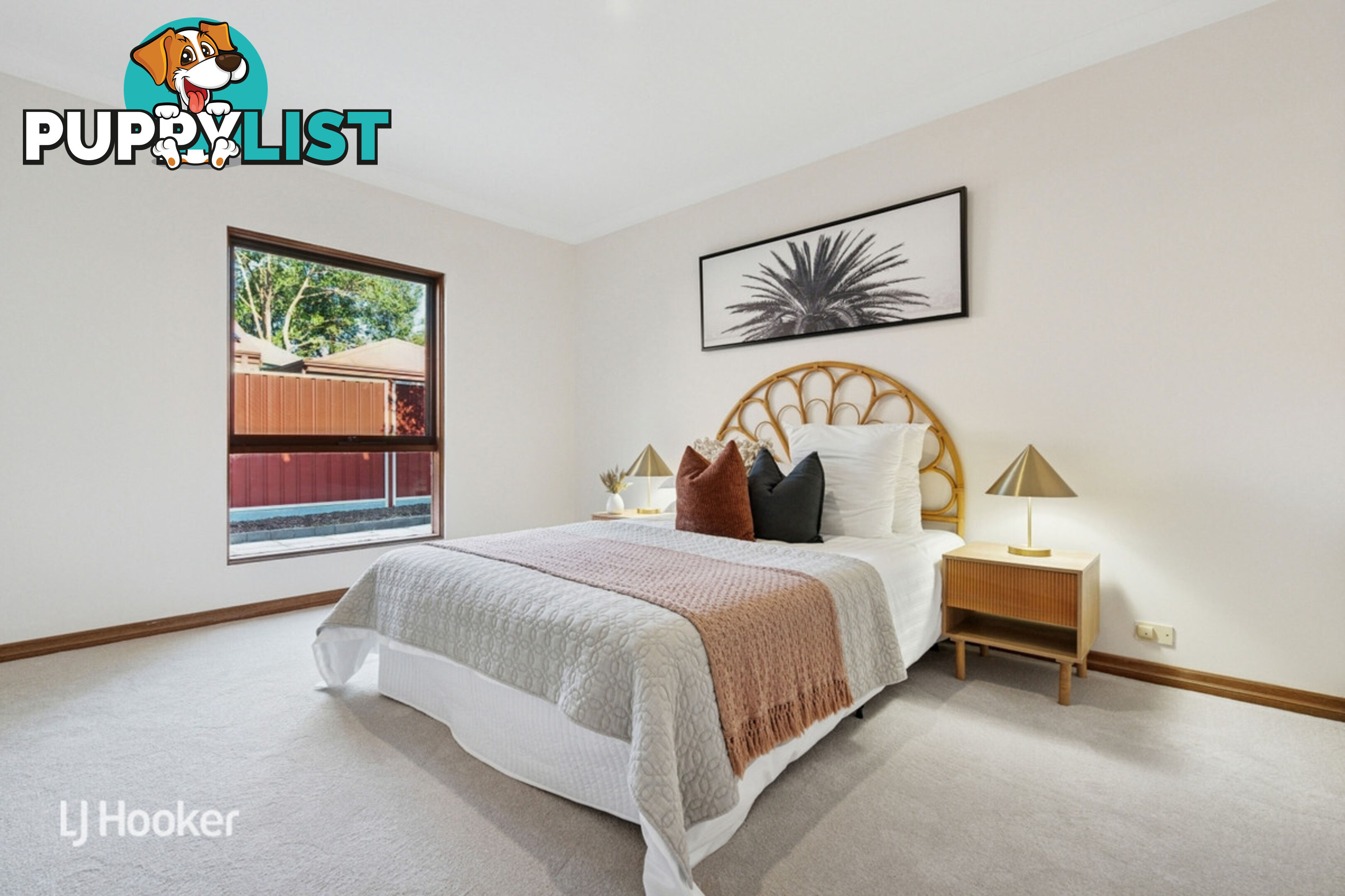 10 Salter Street KENSINGTON SA 5068