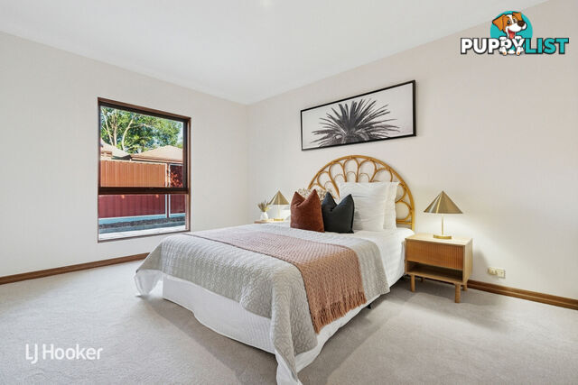 10 Salter Street KENSINGTON SA 5068