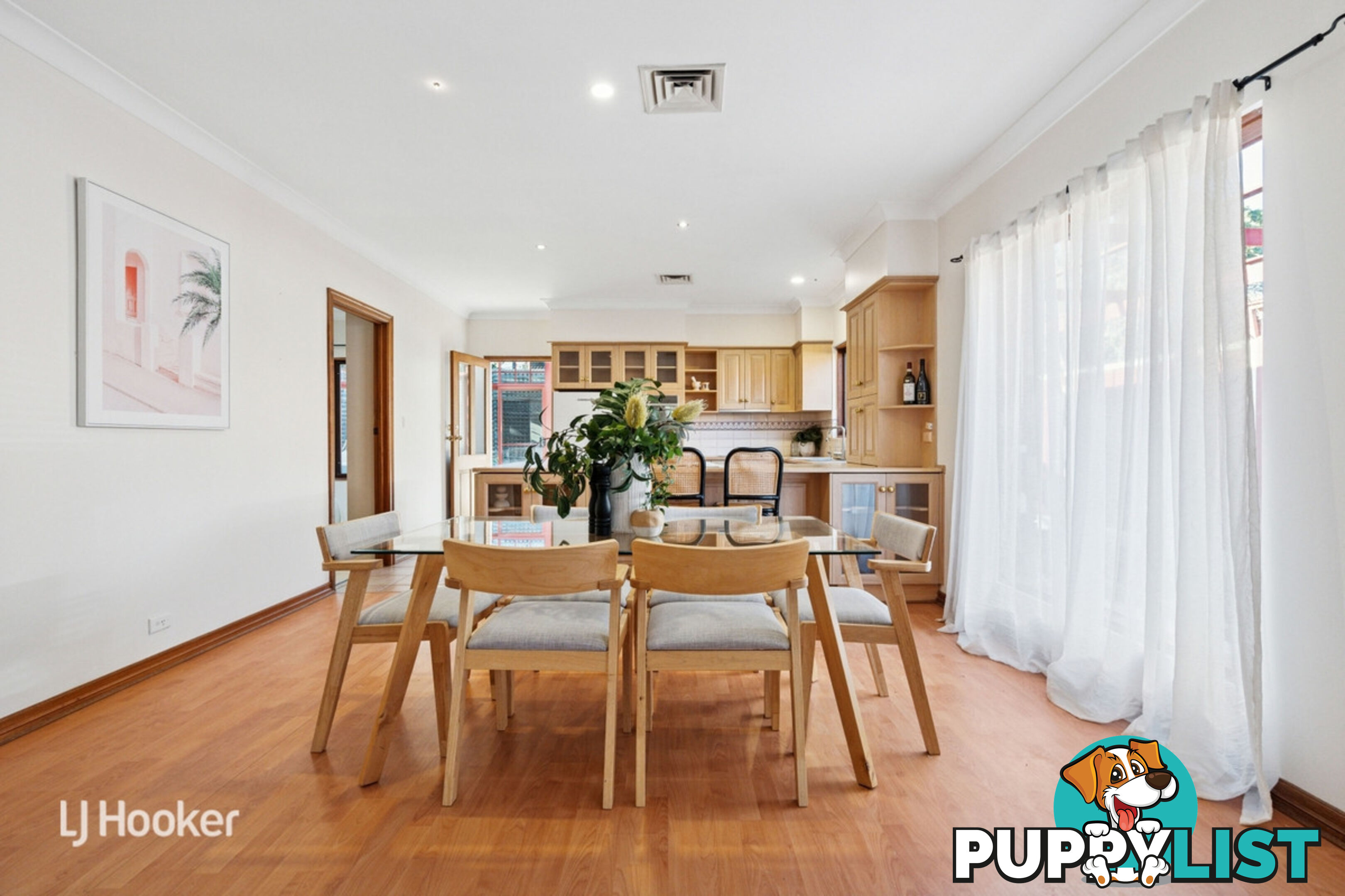 10 Salter Street KENSINGTON SA 5068
