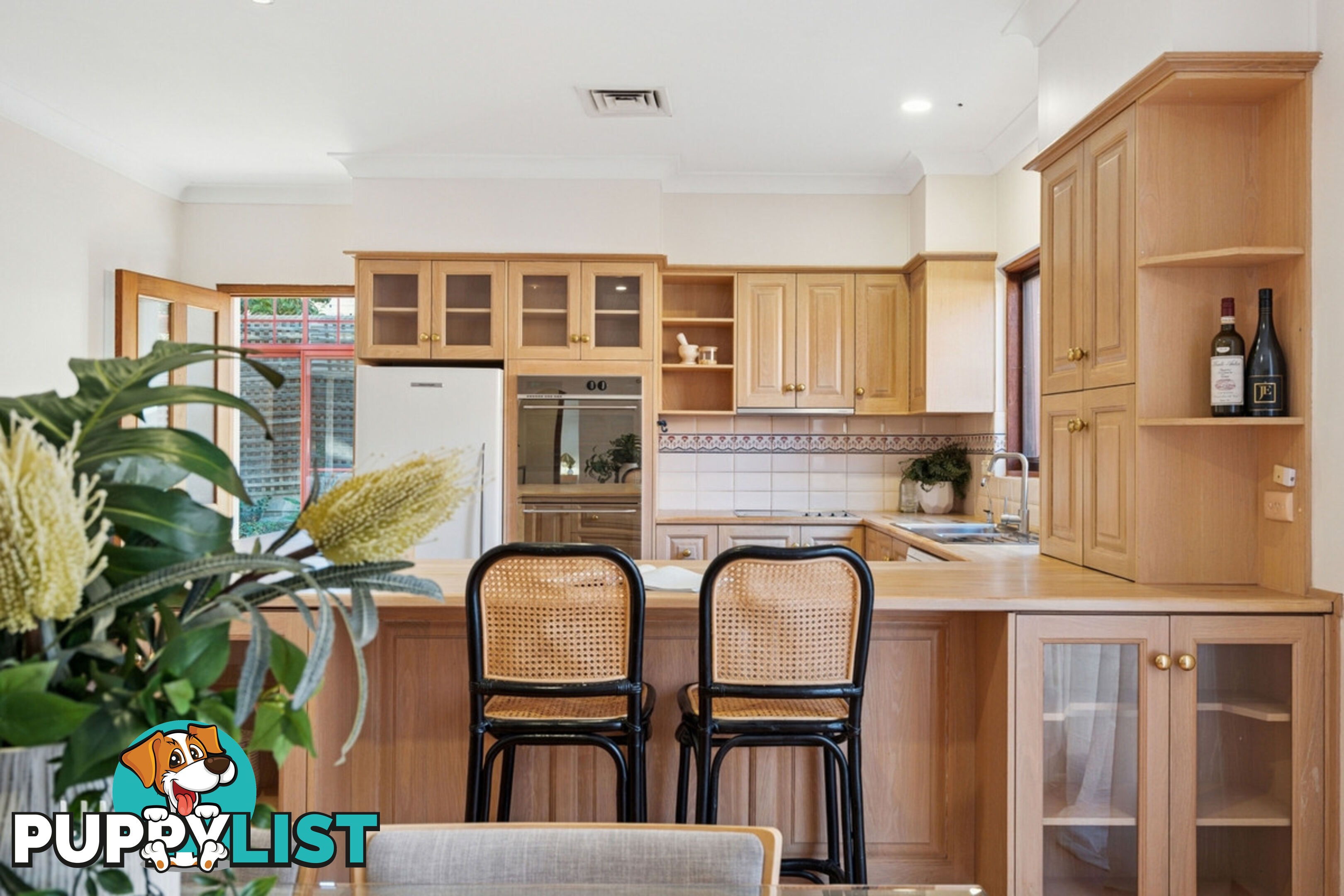 10 Salter Street KENSINGTON SA 5068