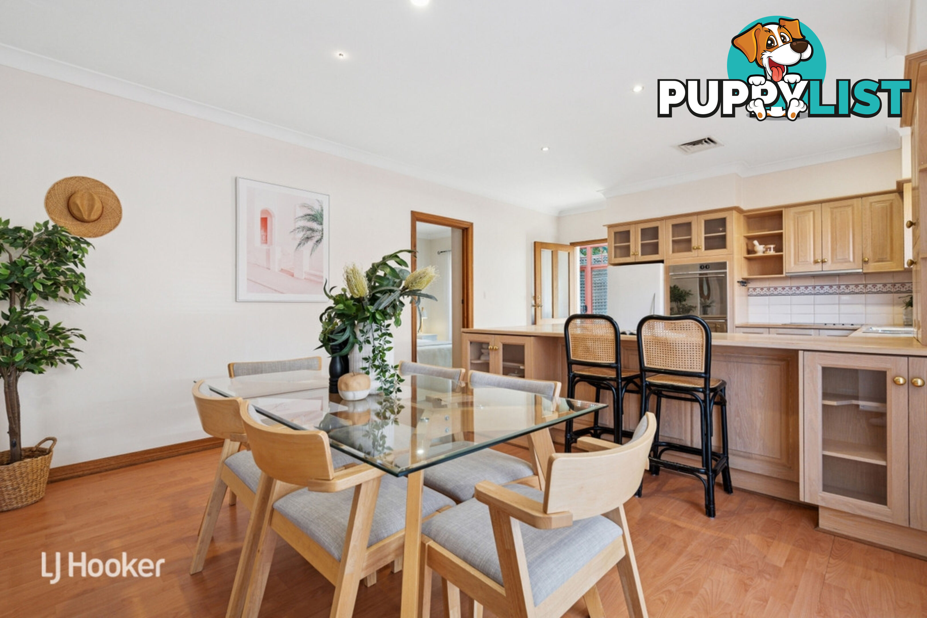10 Salter Street KENSINGTON SA 5068