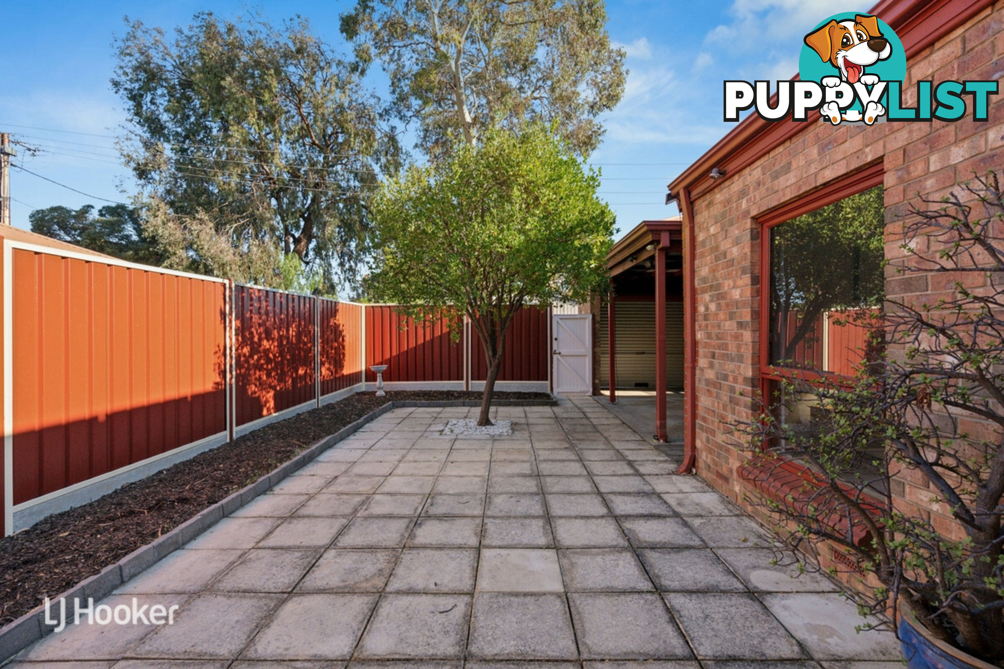 10 Salter Street KENSINGTON SA 5068
