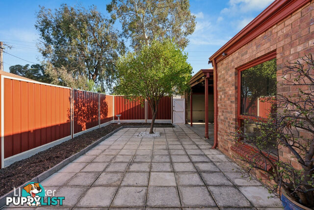 10 Salter Street KENSINGTON SA 5068