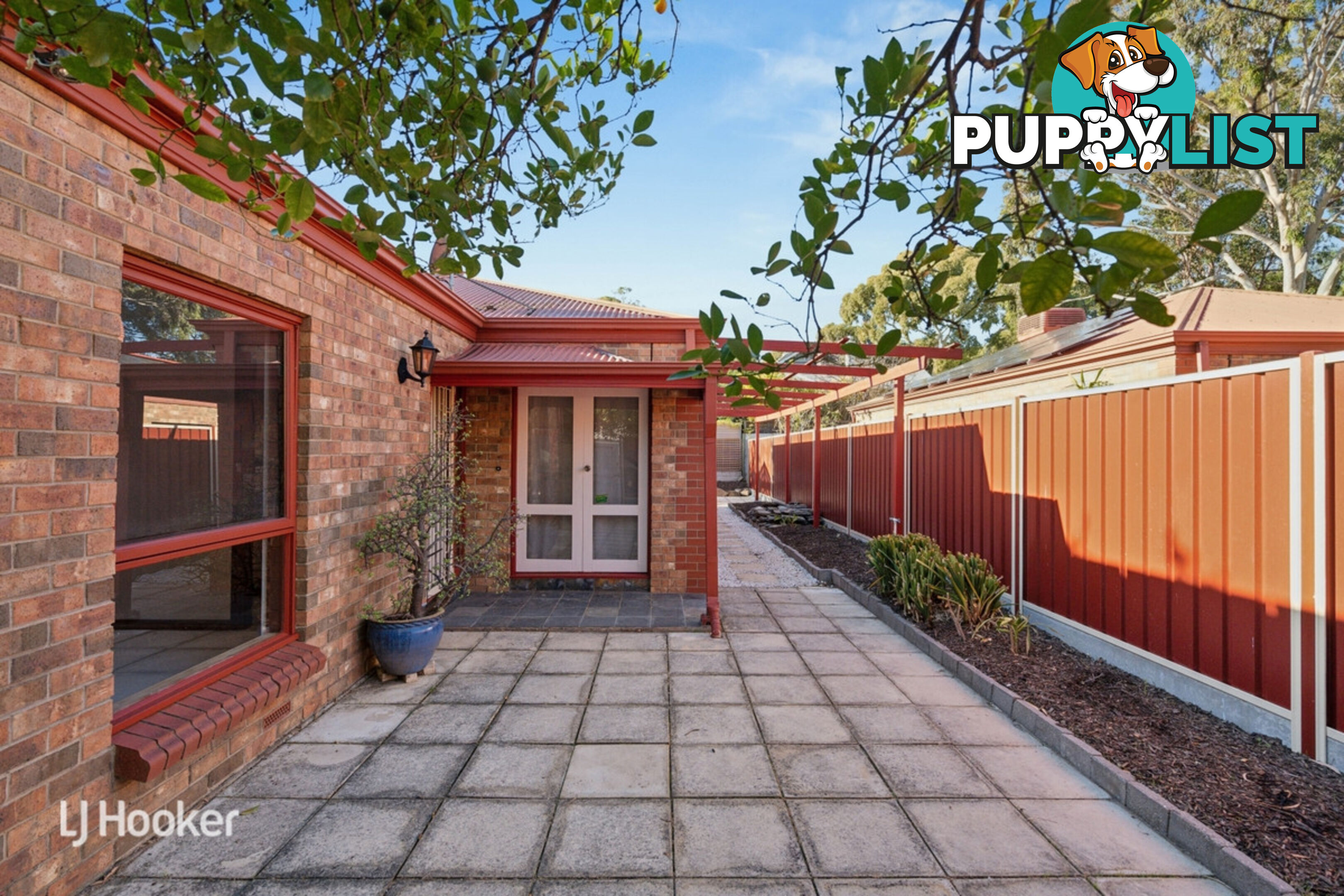 10 Salter Street KENSINGTON SA 5068