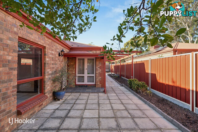 10 Salter Street KENSINGTON SA 5068