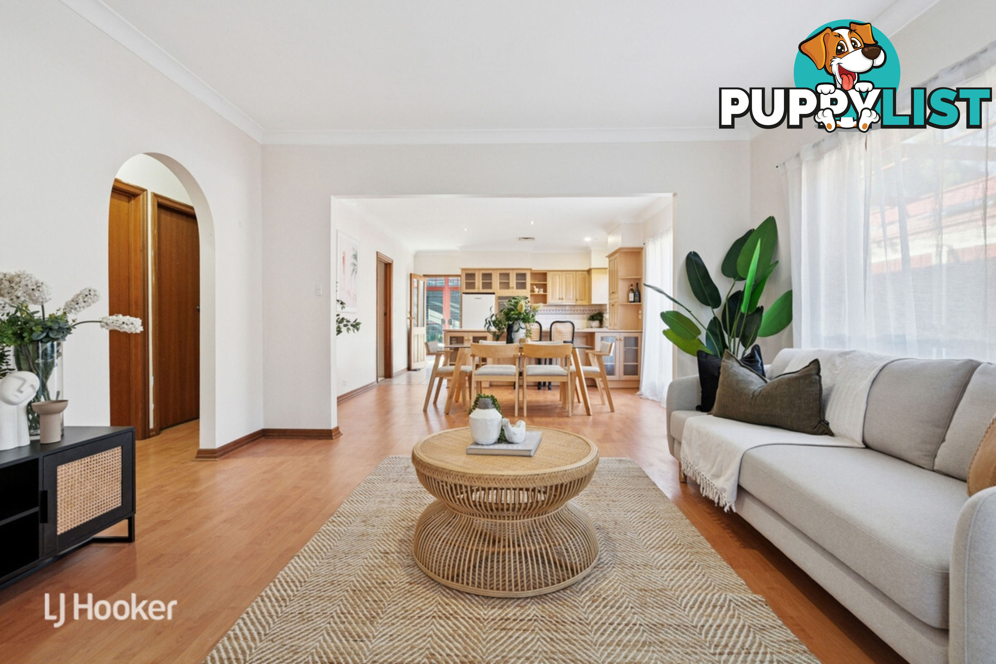 10 Salter Street KENSINGTON SA 5068