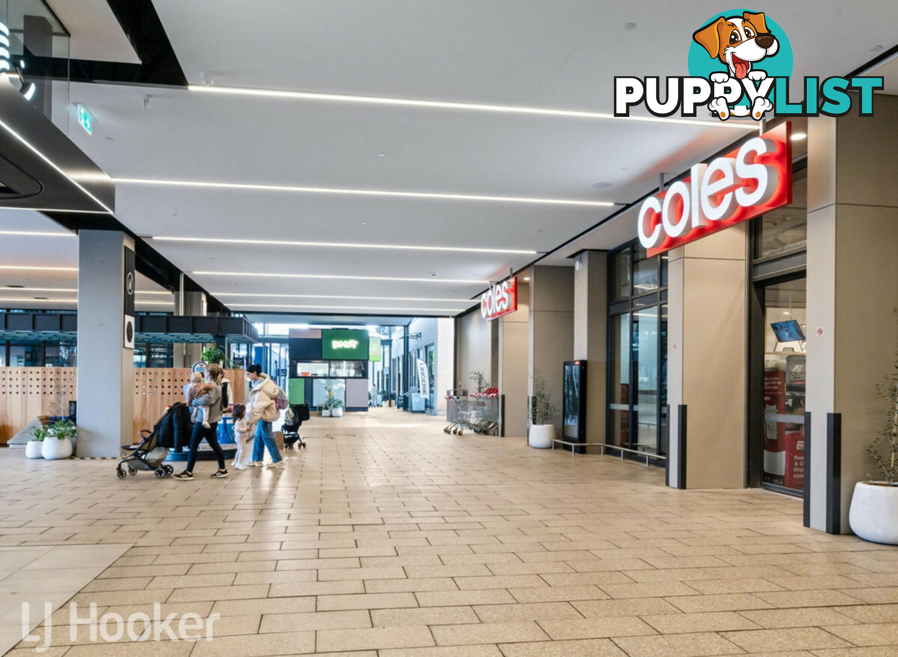 36 Coke Street NORWOOD SA 5067