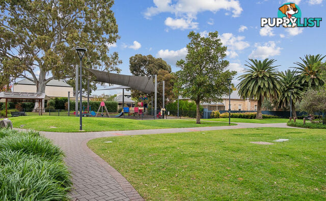 36 Coke Street NORWOOD SA 5067