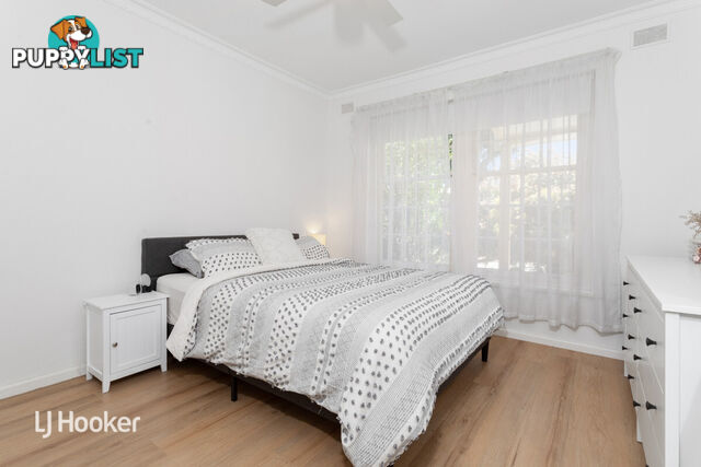 8/265 Glynburn Road ST MORRIS SA 5068