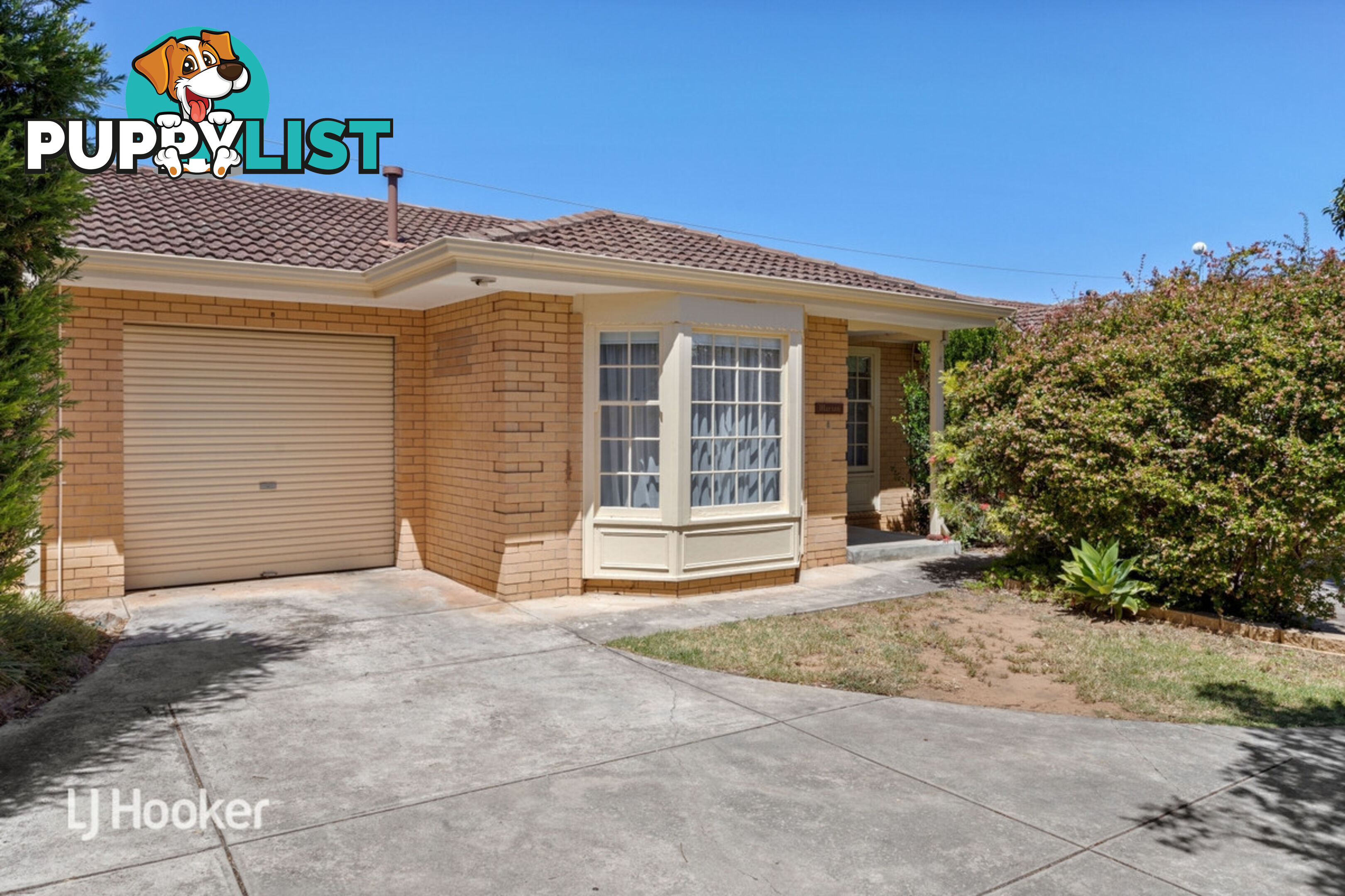 8/265 Glynburn Road ST MORRIS SA 5068