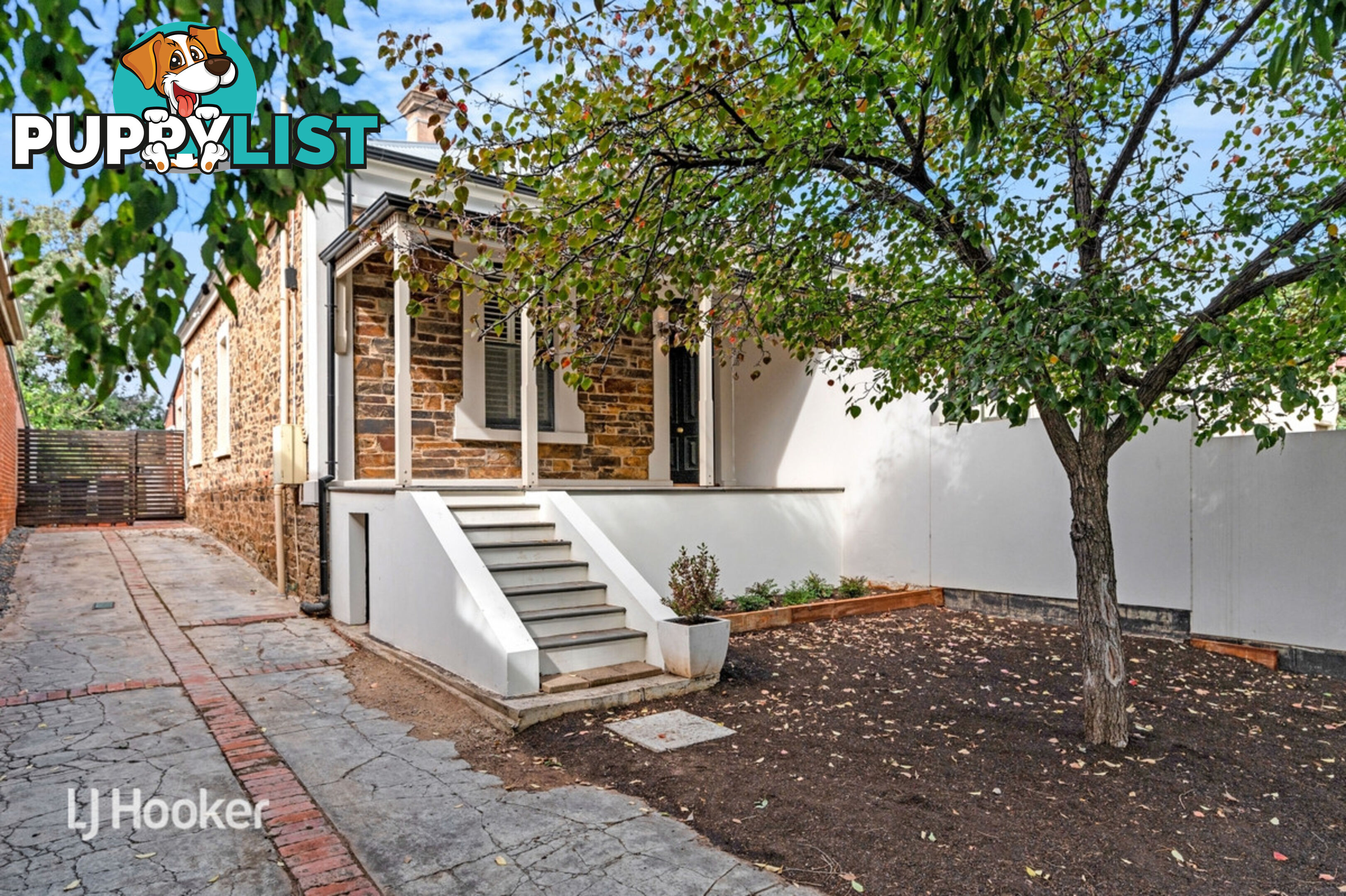 51 Frederick Street MAYLANDS SA 5069