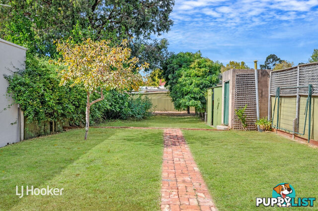 51 Frederick Street MAYLANDS SA 5069