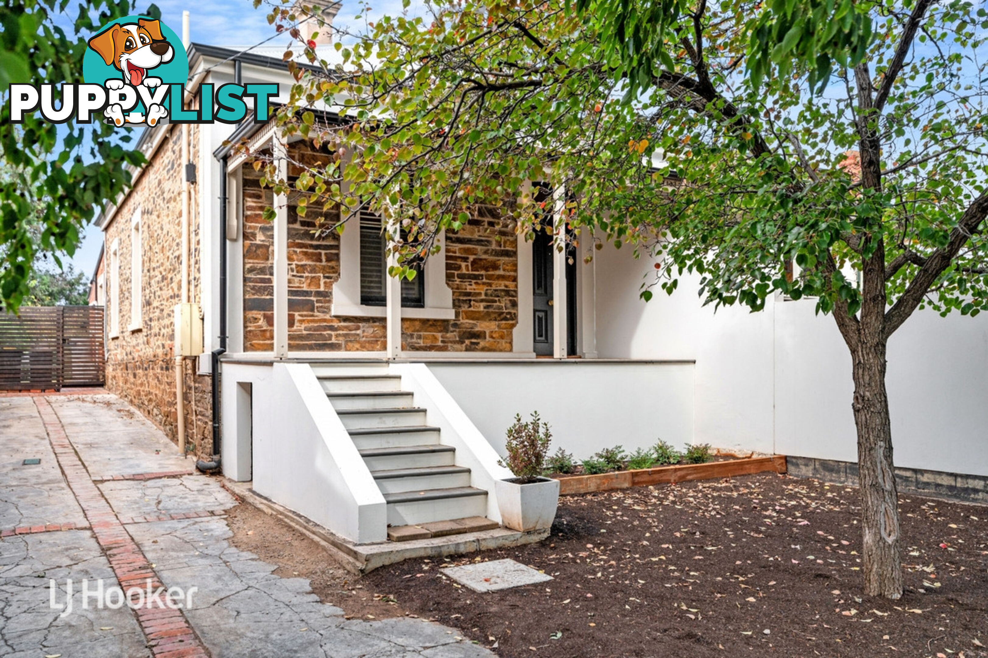 51 Frederick Street MAYLANDS SA 5069