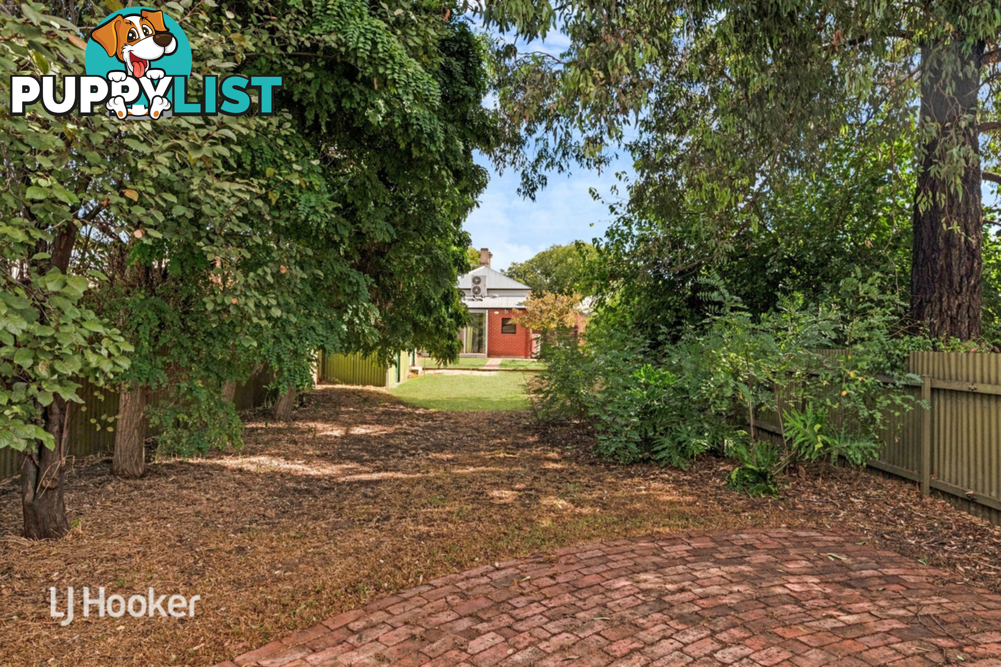 51 Frederick Street MAYLANDS SA 5069