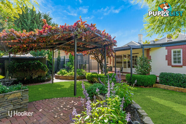 184 King William Road HYDE PARK SA 5061
