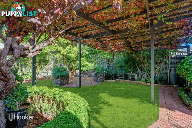 184 King William Road HYDE PARK SA 5061
