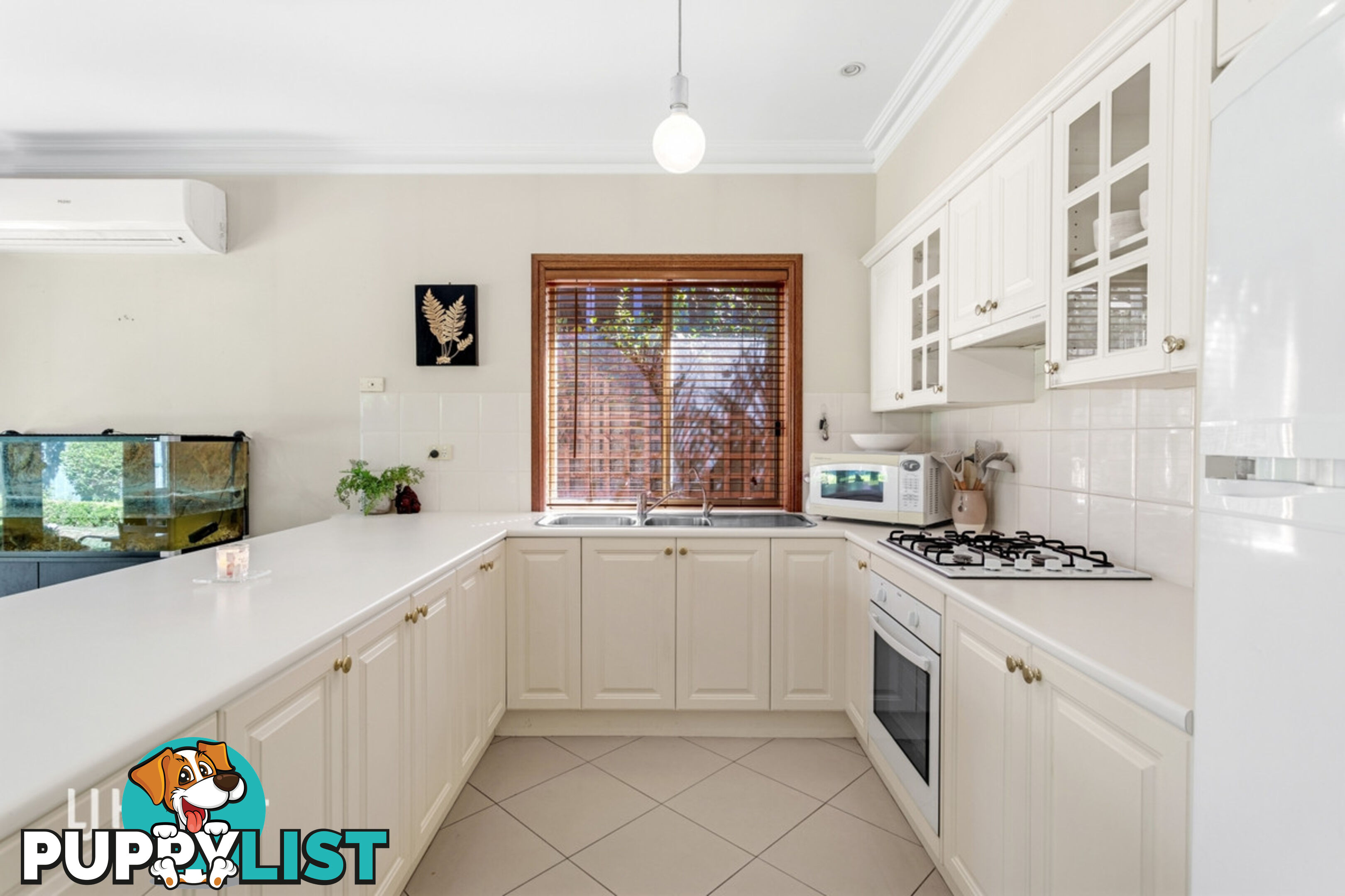 20 Newland Way MAWSON LAKES SA 5095