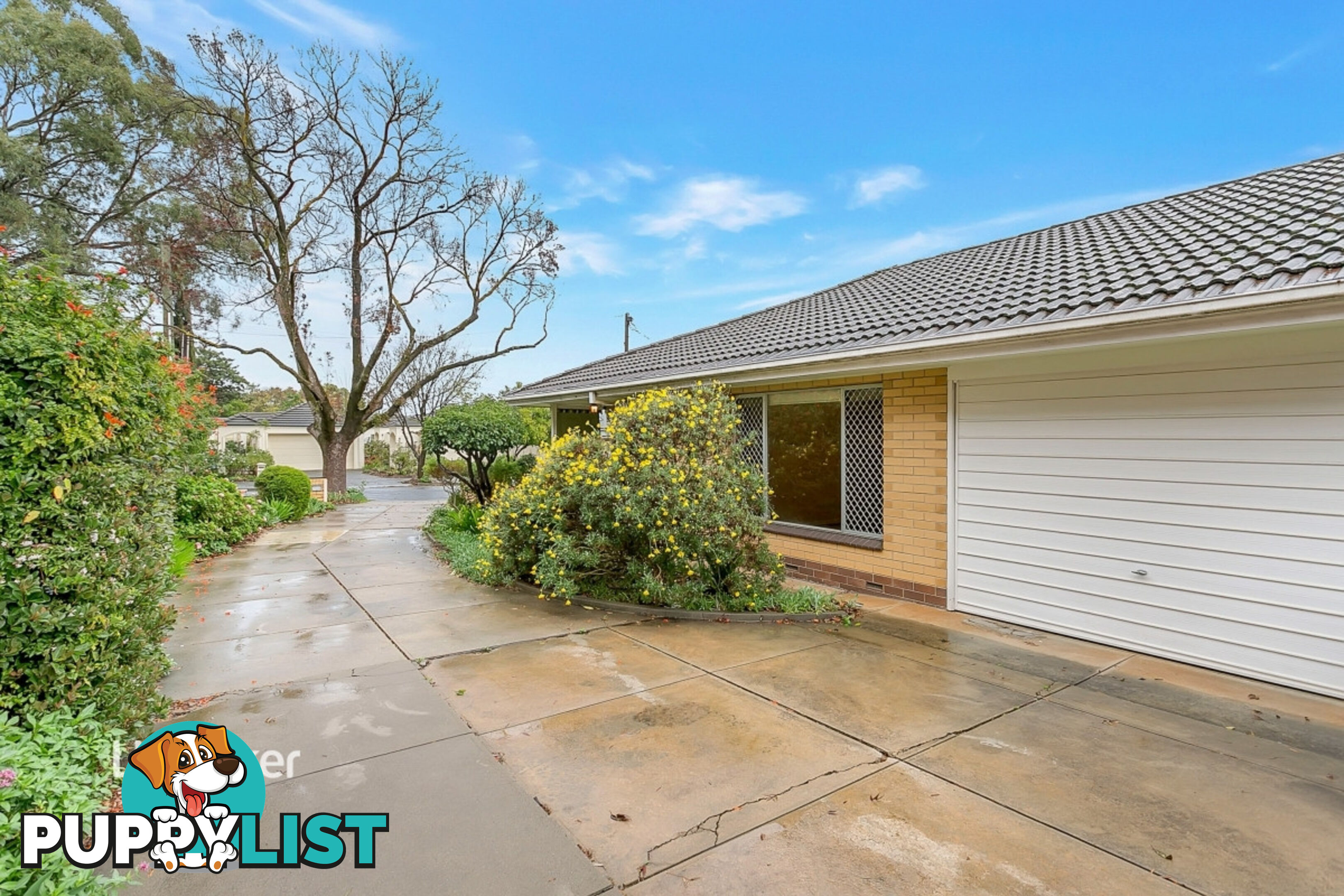 1/7 Birdwood Street NETHERBY SA 5062