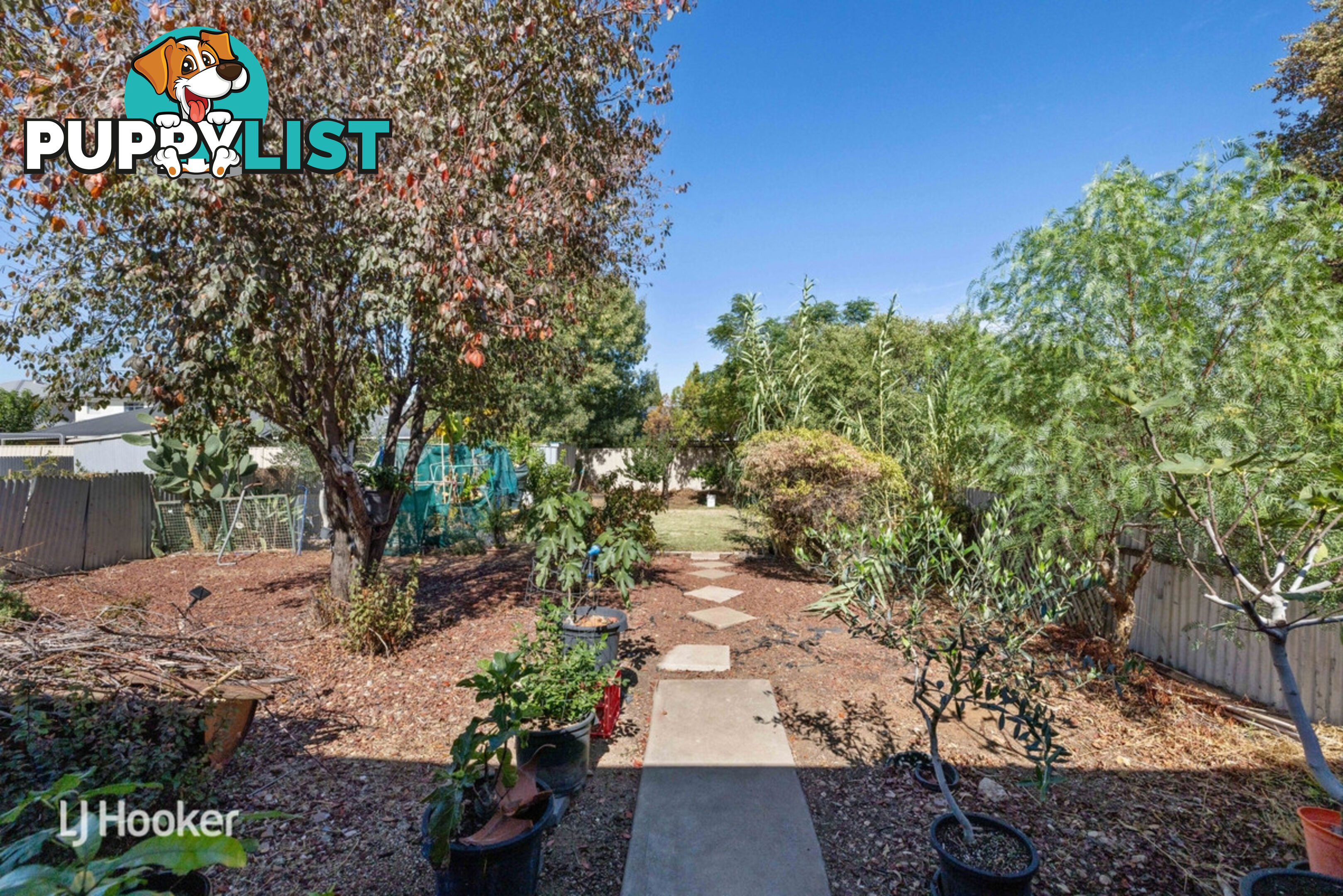 4-6 Daniel Street ELIZABETH PARK SA 5113