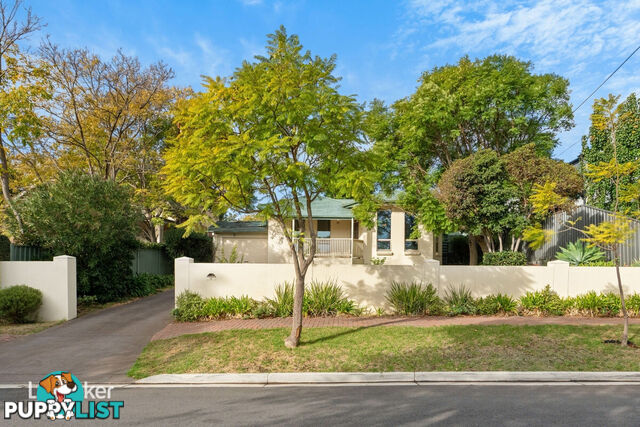 4 Elinor Terrace GLEN OSMOND SA 5064
