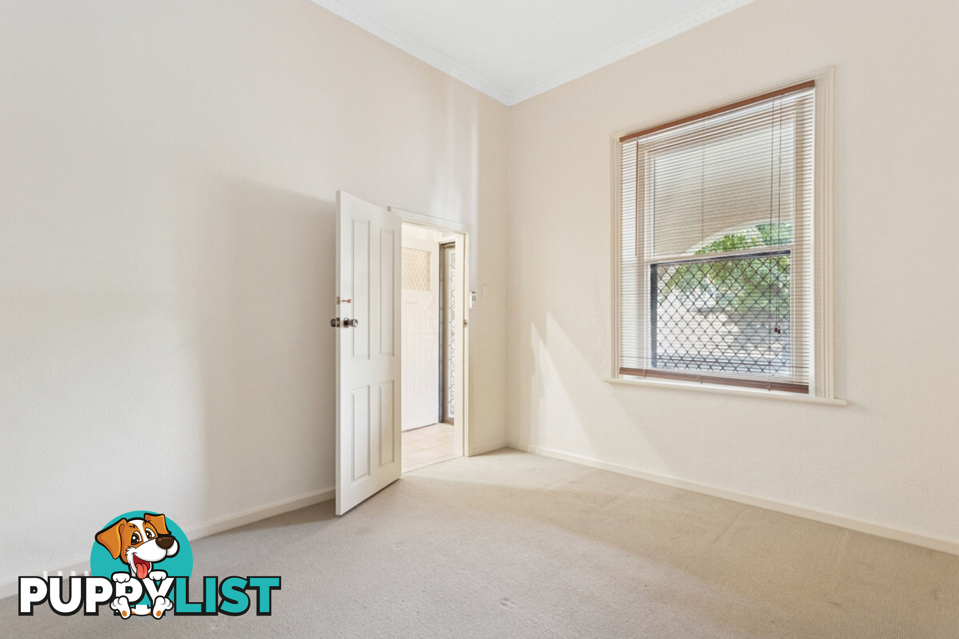 21 & 23 Cairns Street NORWOOD SA 5067