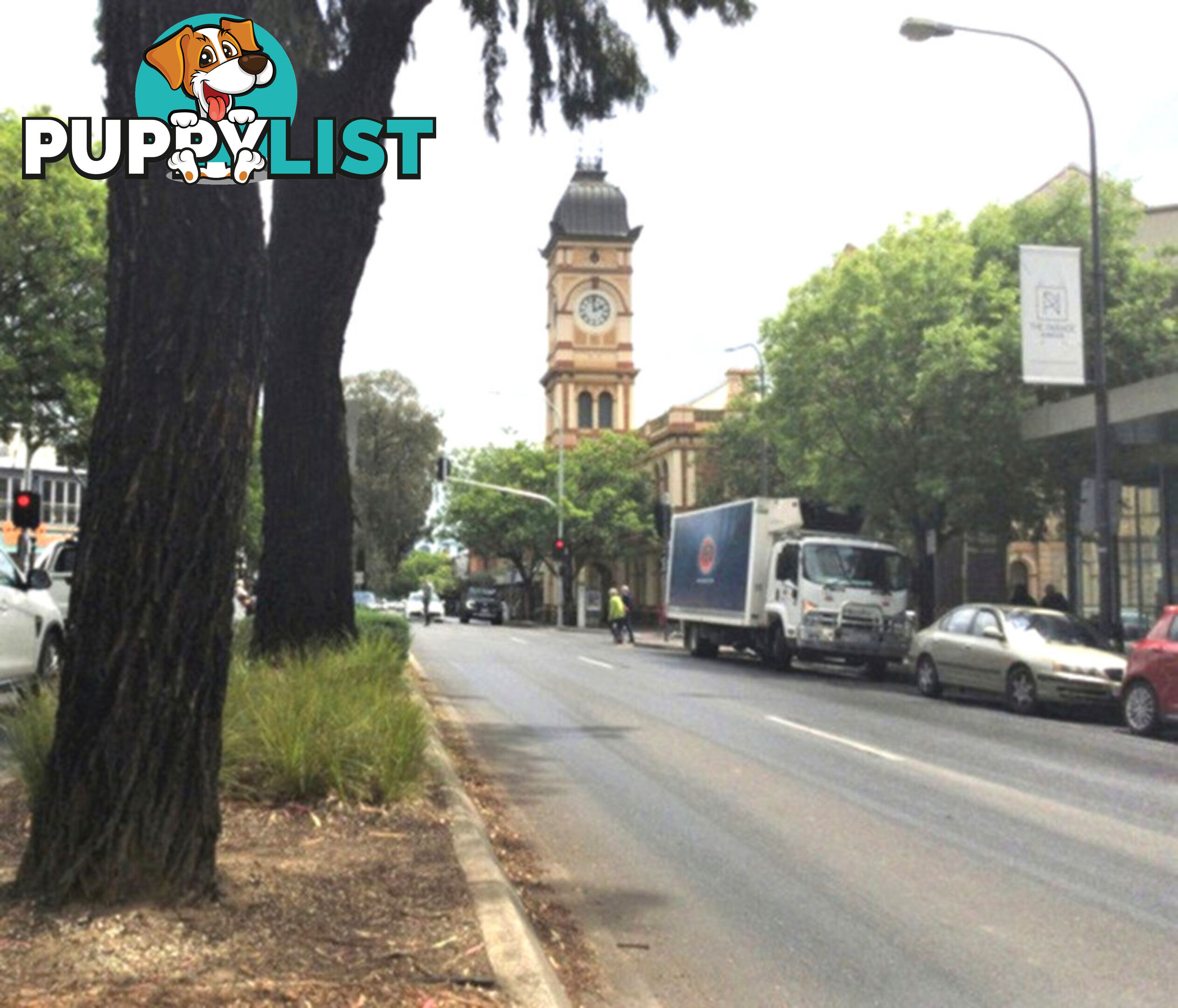 21 & 23 Cairns Street NORWOOD SA 5067