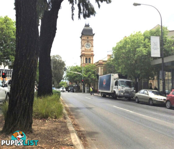 21 & 23 Cairns Street NORWOOD SA 5067