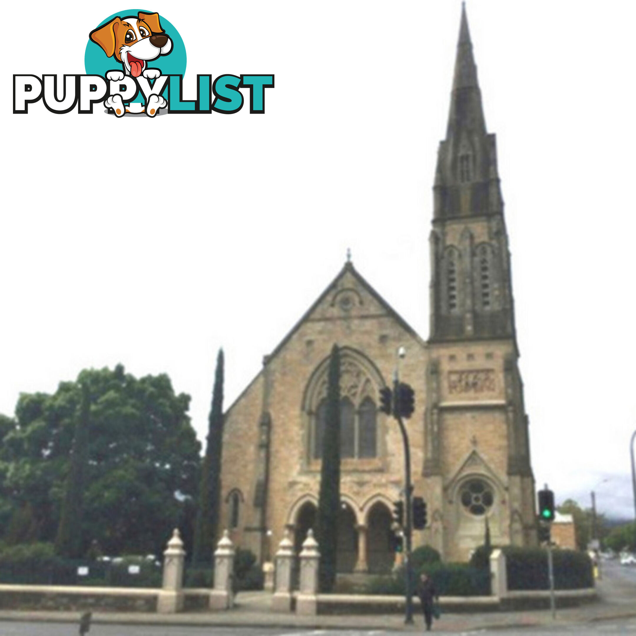 21 & 23 Cairns Street NORWOOD SA 5067
