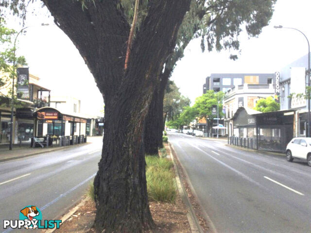 21 & 23 Cairns Street NORWOOD SA 5067