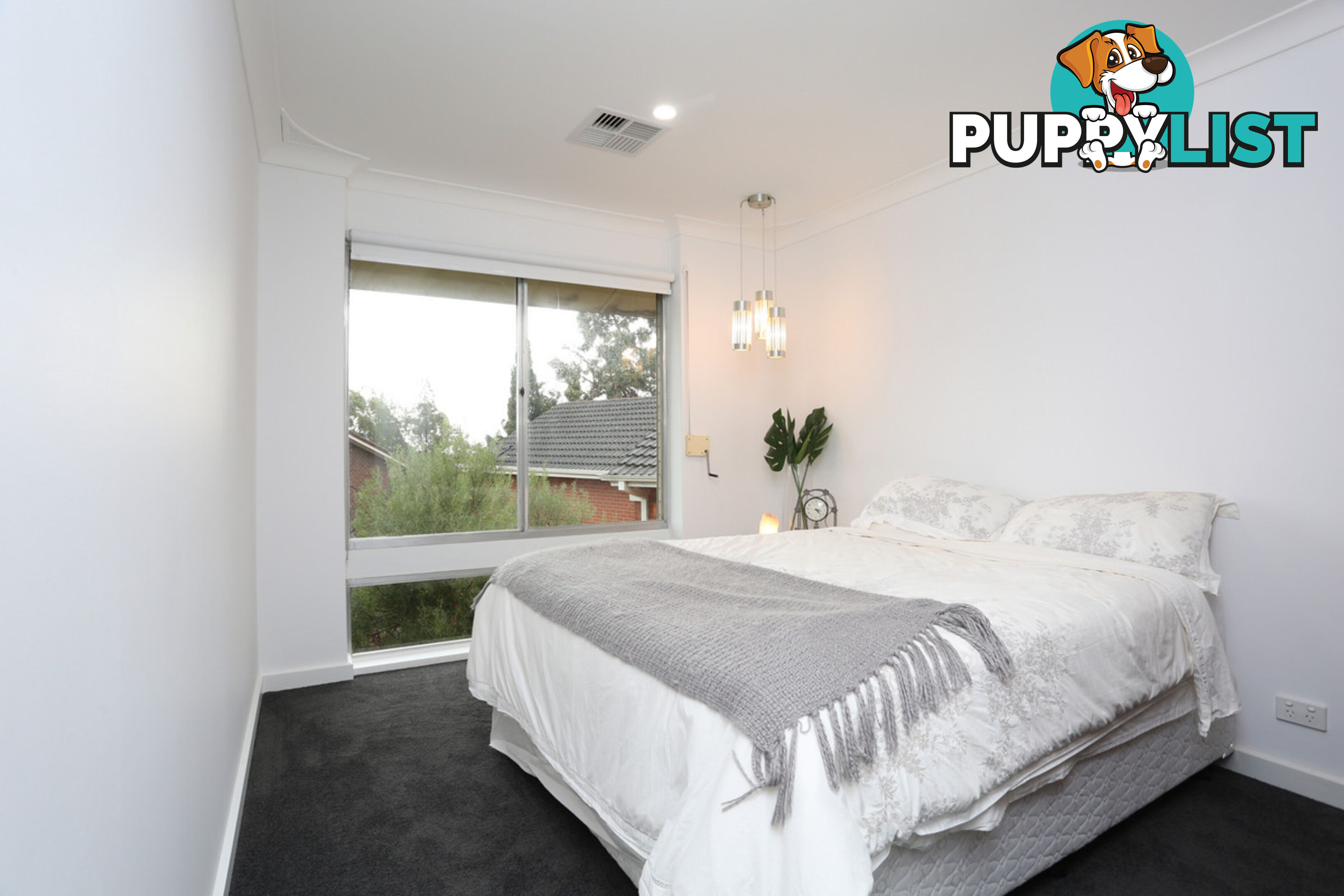 1 Clark Street WATTLE PARK SA 5066