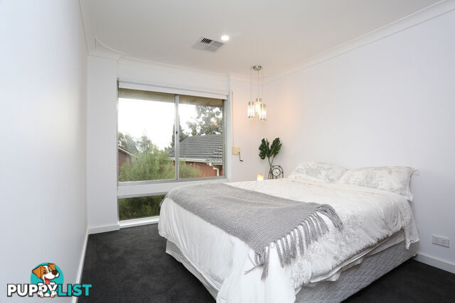 1 Clark Street WATTLE PARK SA 5066