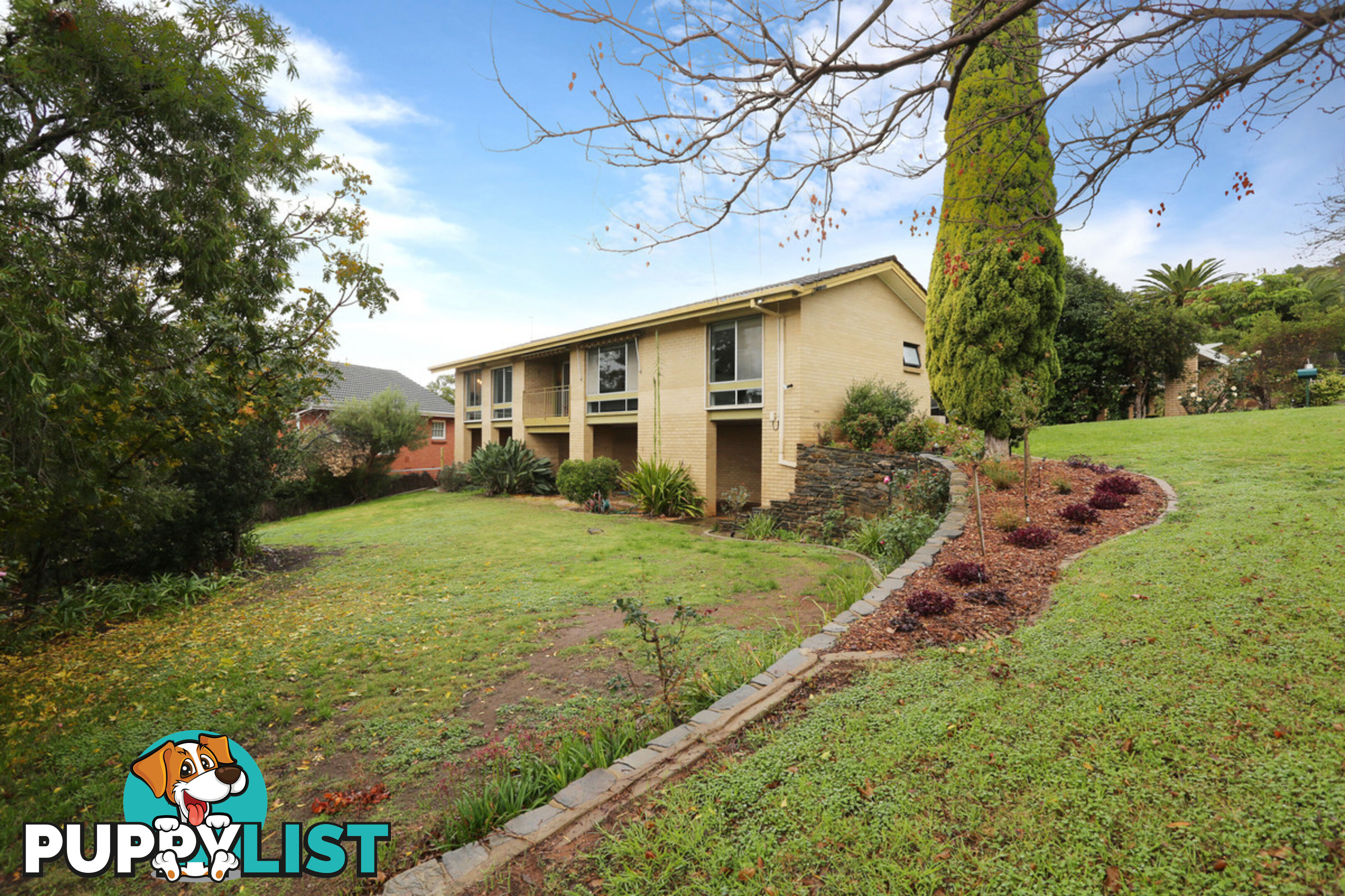 1 Clark Street WATTLE PARK SA 5066