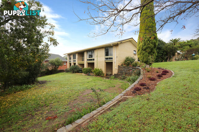 1 Clark Street WATTLE PARK SA 5066