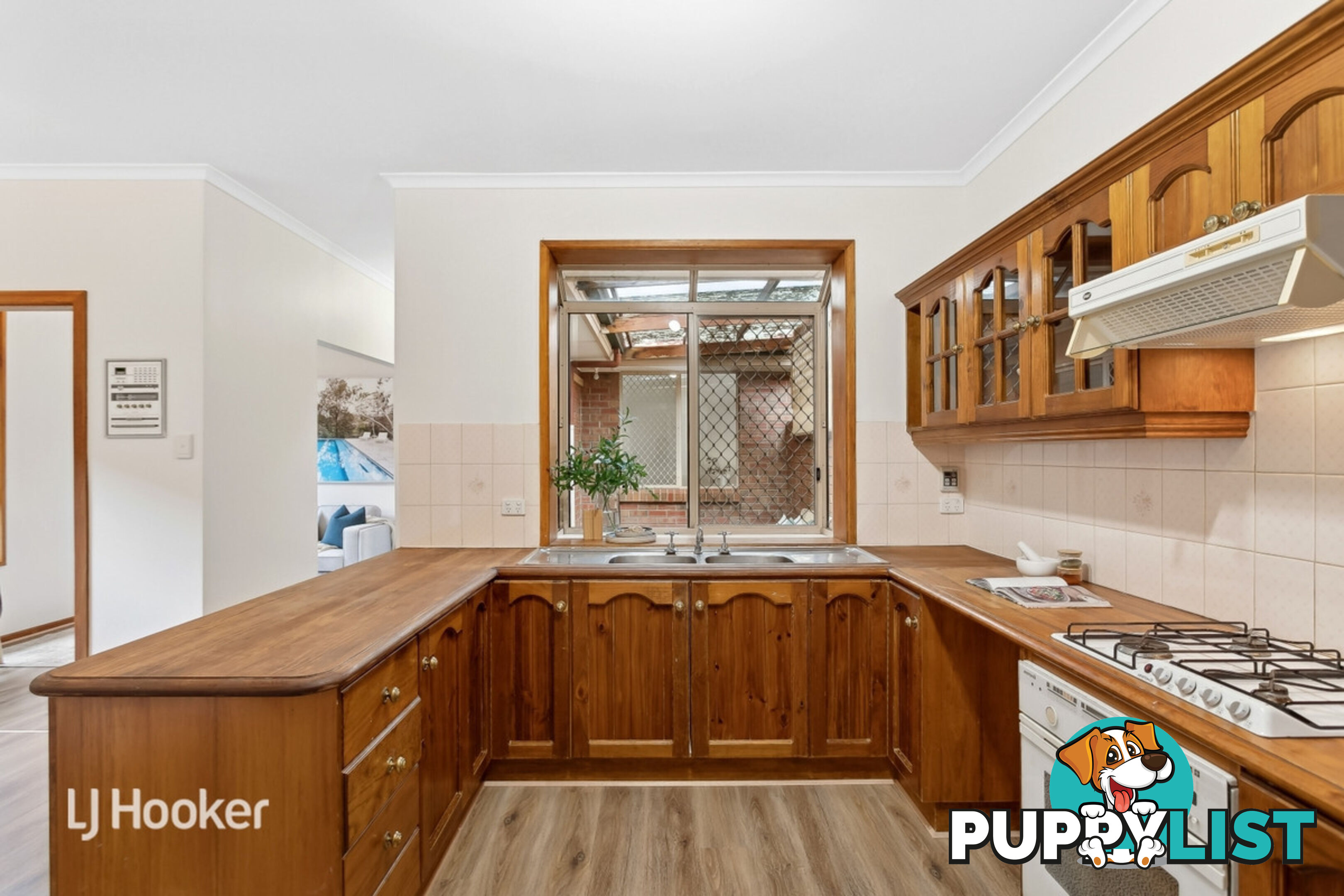 14B Balmoral Avenue MAGILL SA 5072