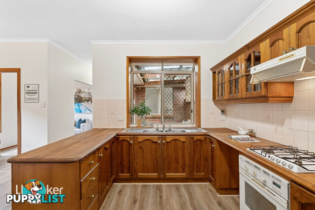 14B Balmoral Avenue MAGILL SA 5072