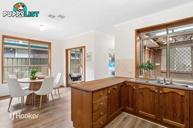 14B Balmoral Avenue MAGILL SA 5072