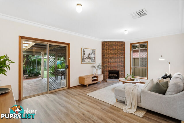 14B Balmoral Avenue MAGILL SA 5072