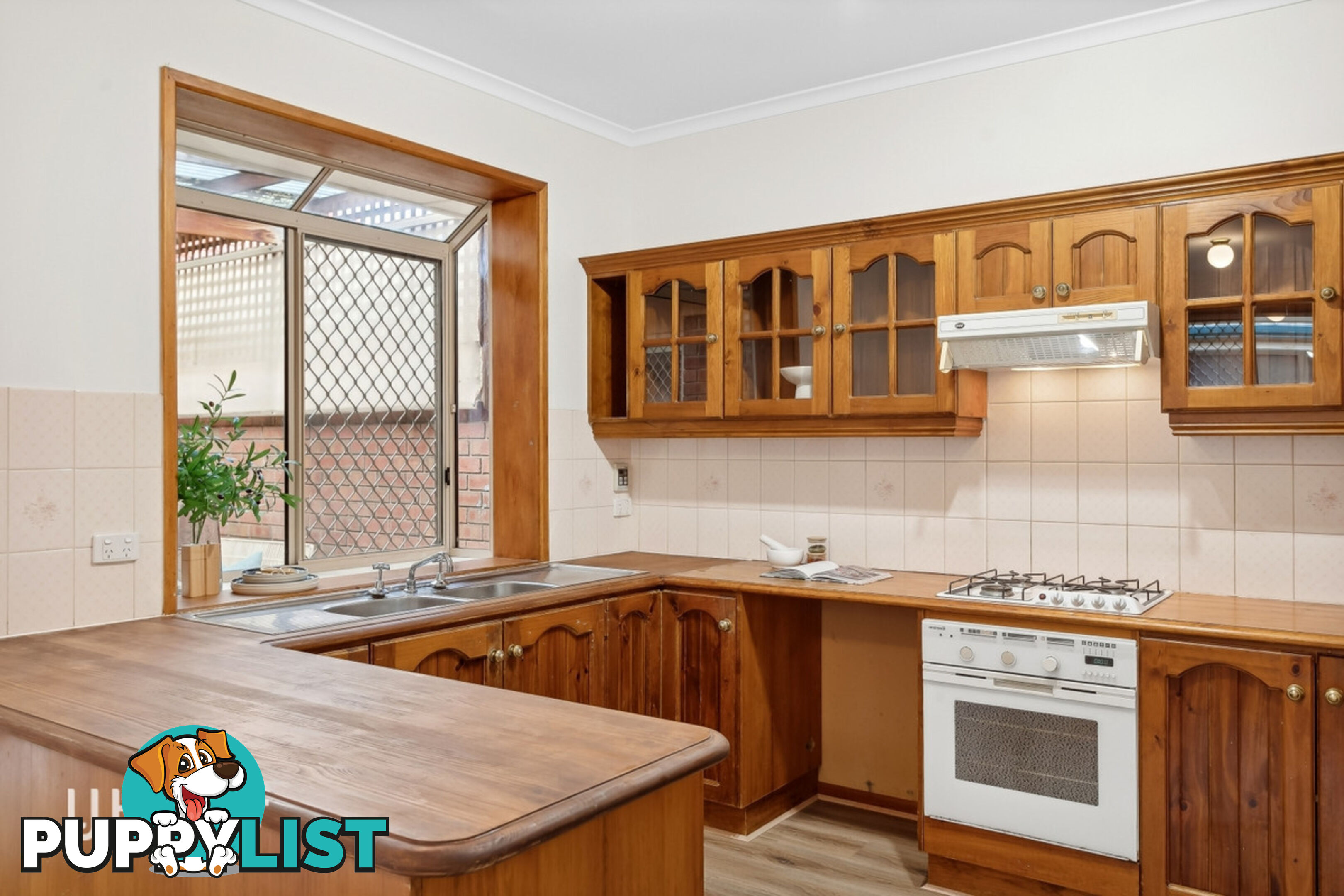 14B Balmoral Avenue MAGILL SA 5072