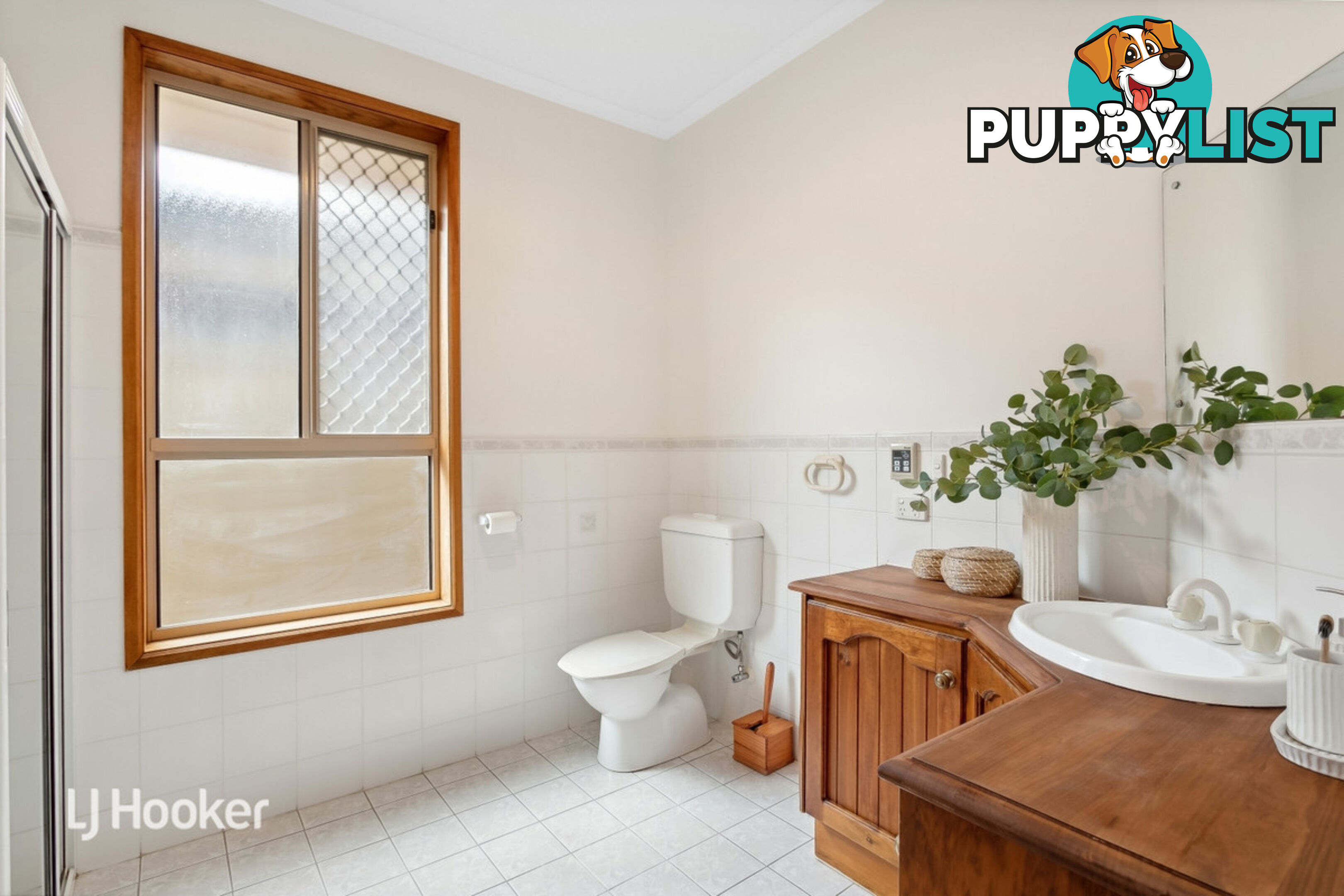 14B Balmoral Avenue MAGILL SA 5072