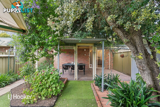 14B Balmoral Avenue MAGILL SA 5072