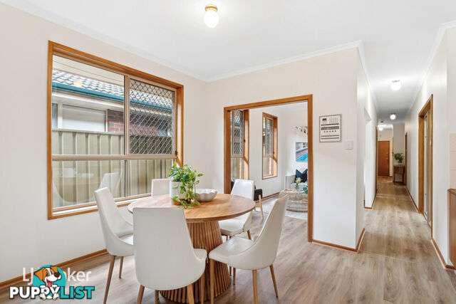 14B Balmoral Avenue MAGILL SA 5072